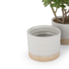 Buy wooden and ceramic tableware online - Lap and Dado Blanc small planter